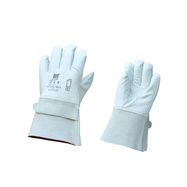 CG991_1.png CG991_1.png